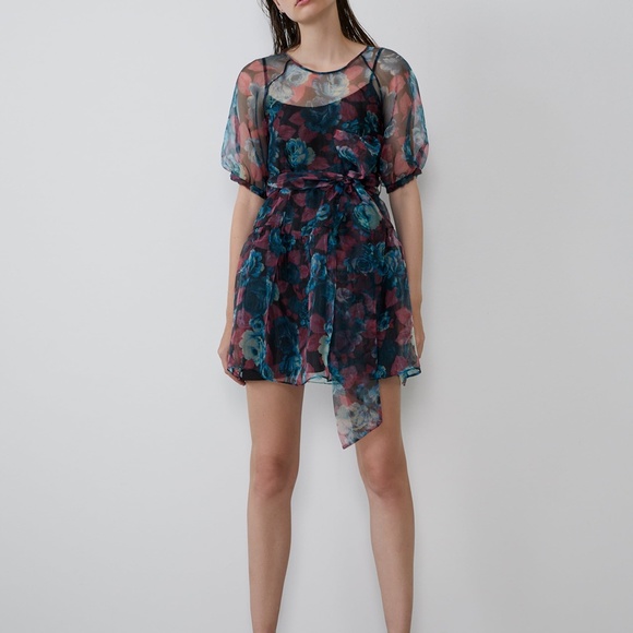 Zara Dresses & Skirts - Zara organza voluminous dress